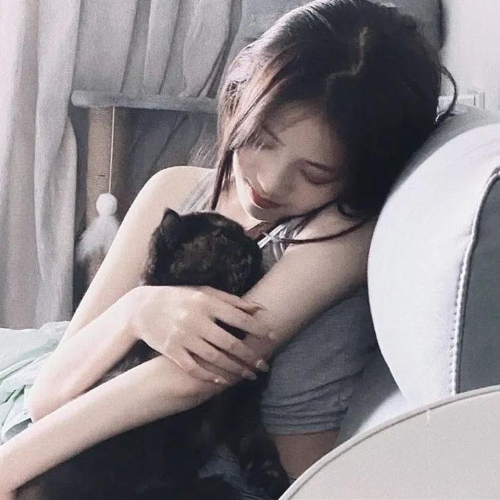 绘图师的合约